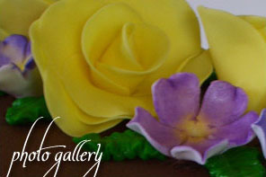 Photo Gallery